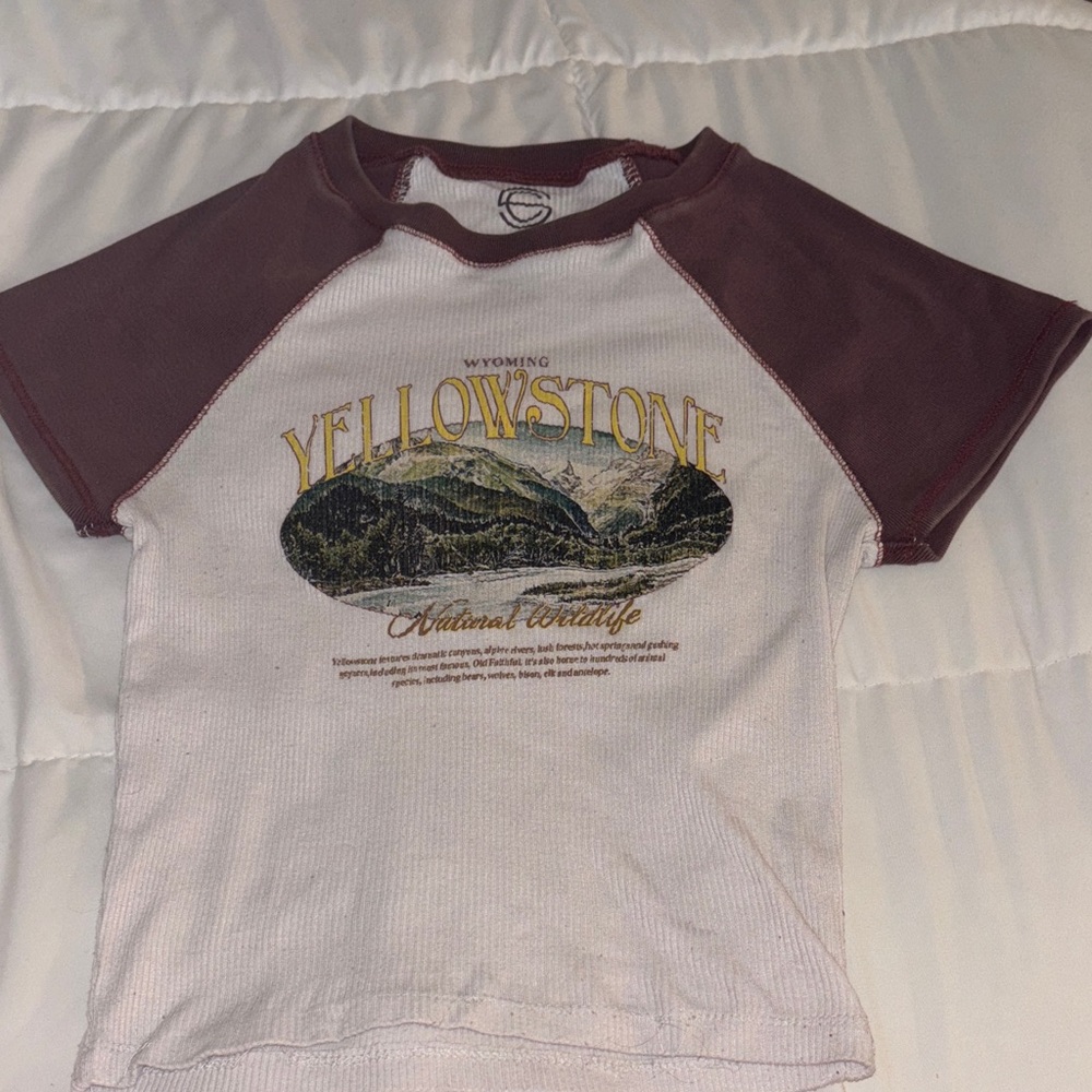 Women's Burgundy and White Graphic Crop Top